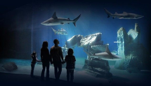 visitare l'acquario di Genova
